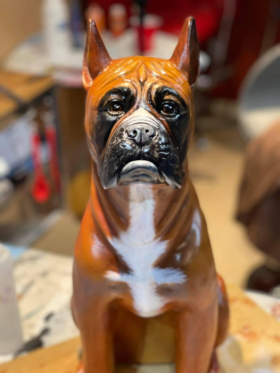 ma boxer rescue ma boxer rescue